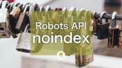 WordpressのRobots APIを使用した不要ページのnoindex指定